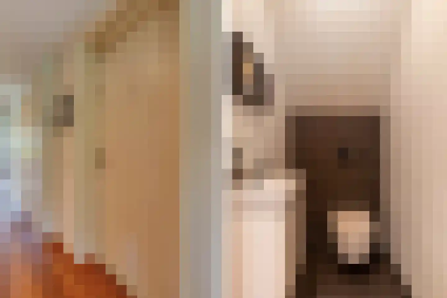 Löhnislaan 10 De Pol thumbnail 20