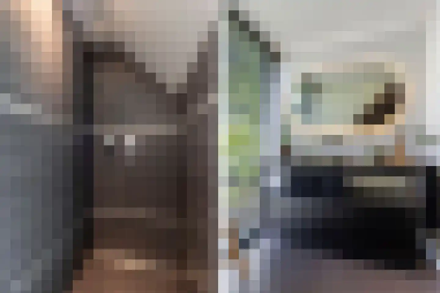 Löhnislaan 10 De Pol thumbnail 25