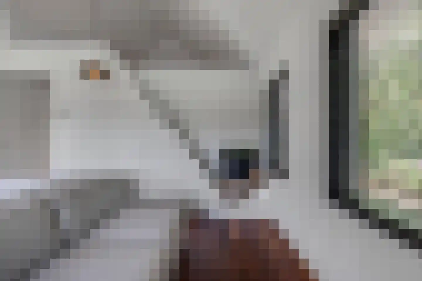 Löhnislaan 10 De Pol thumbnail 29