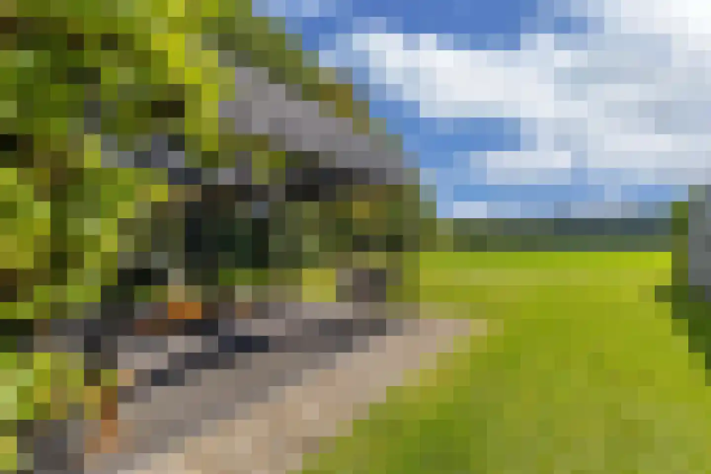 Löhnislaan 10 De Pol foto 3