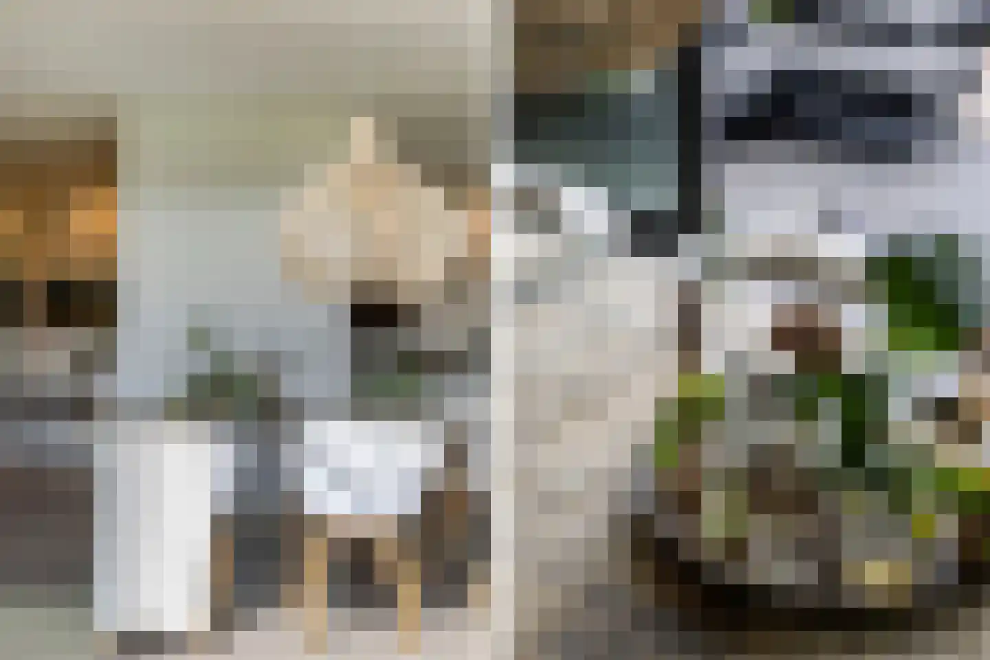 Löhnislaan 10 De Pol thumbnail 36