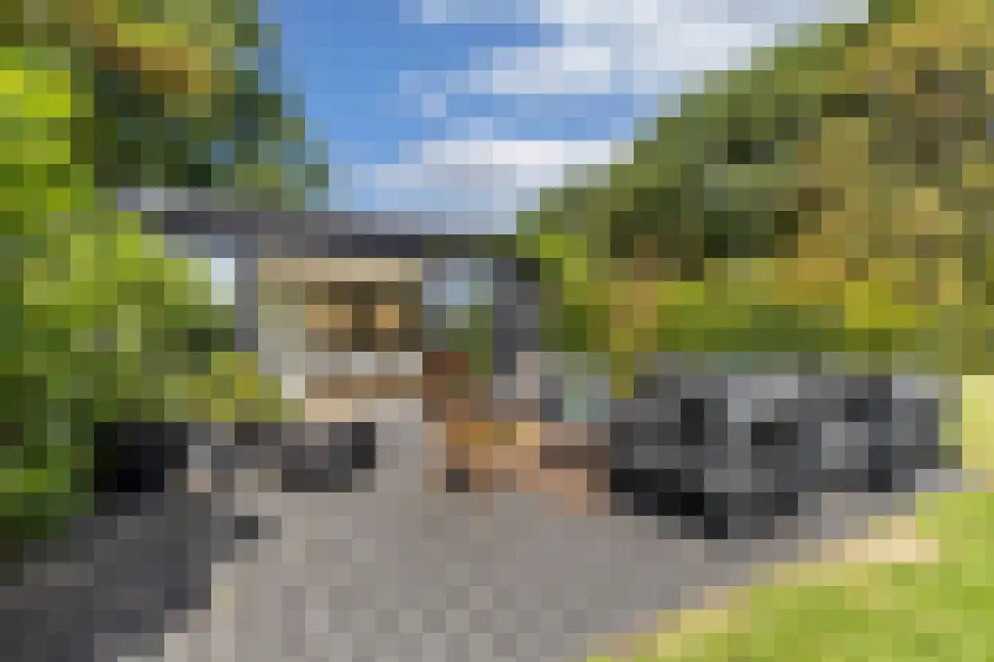 Löhnislaan 10 De Pol thumbnail 4