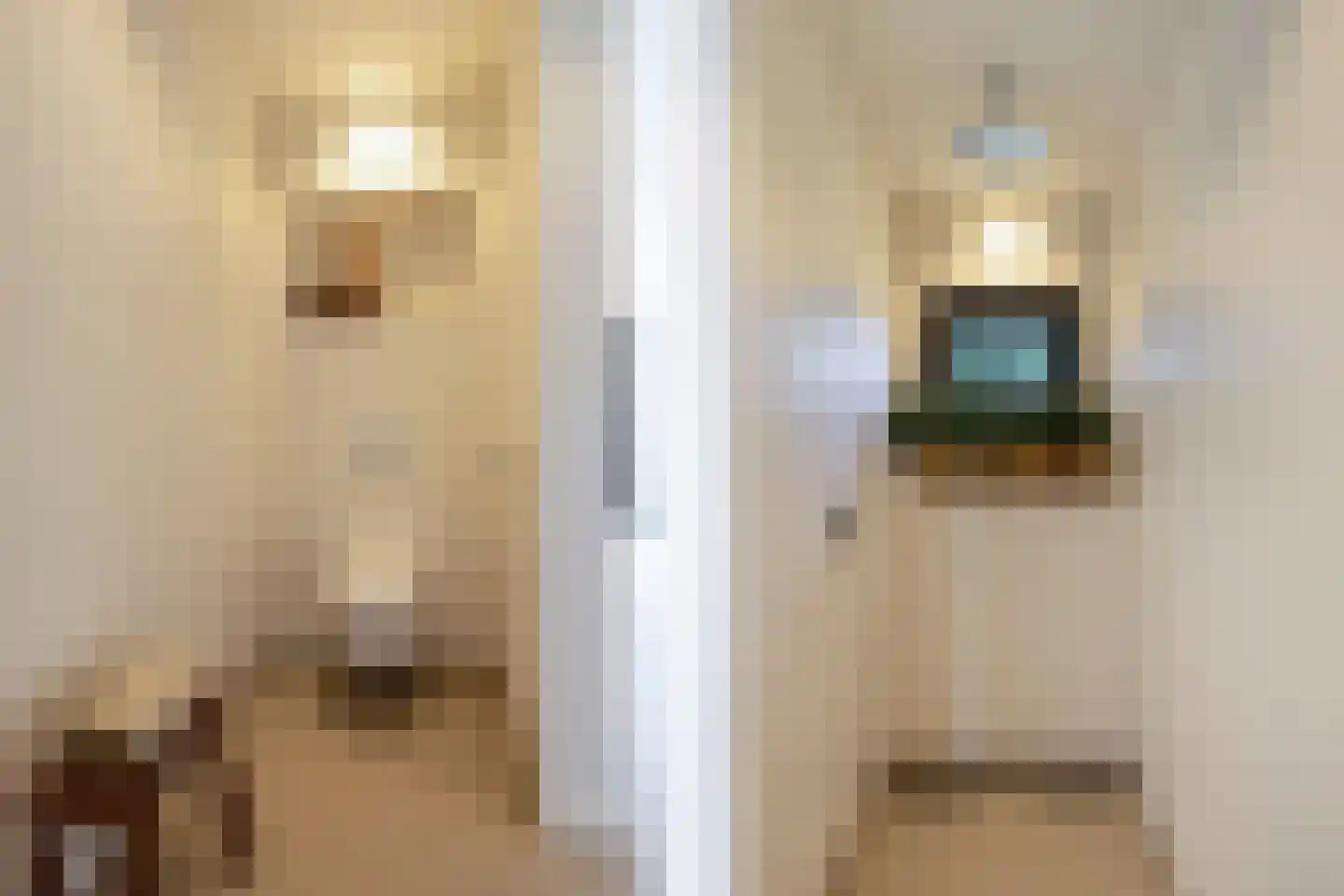 Löhnislaan 10 De Pol thumbnail 46