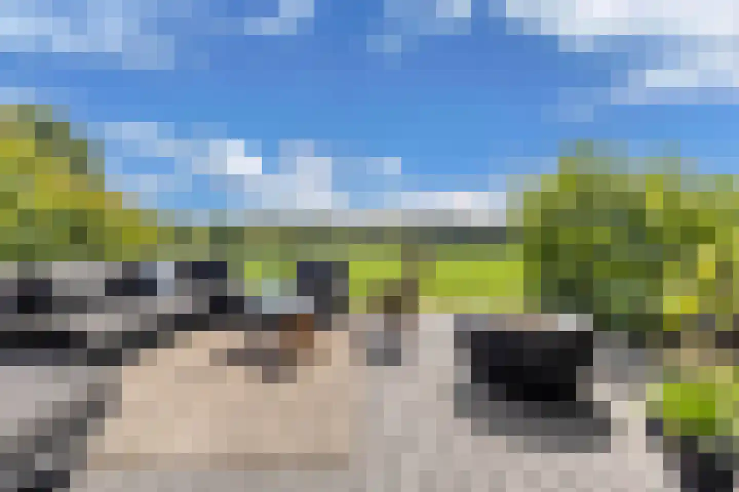 Löhnislaan 10 De Pol thumbnail 47