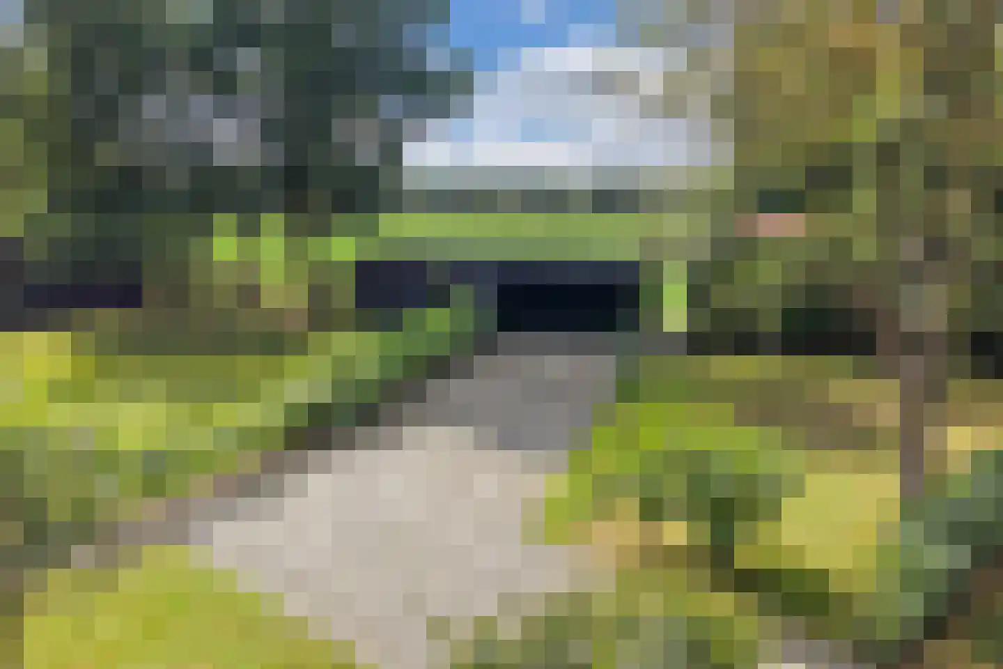 Löhnislaan 10 De Pol thumbnail 51