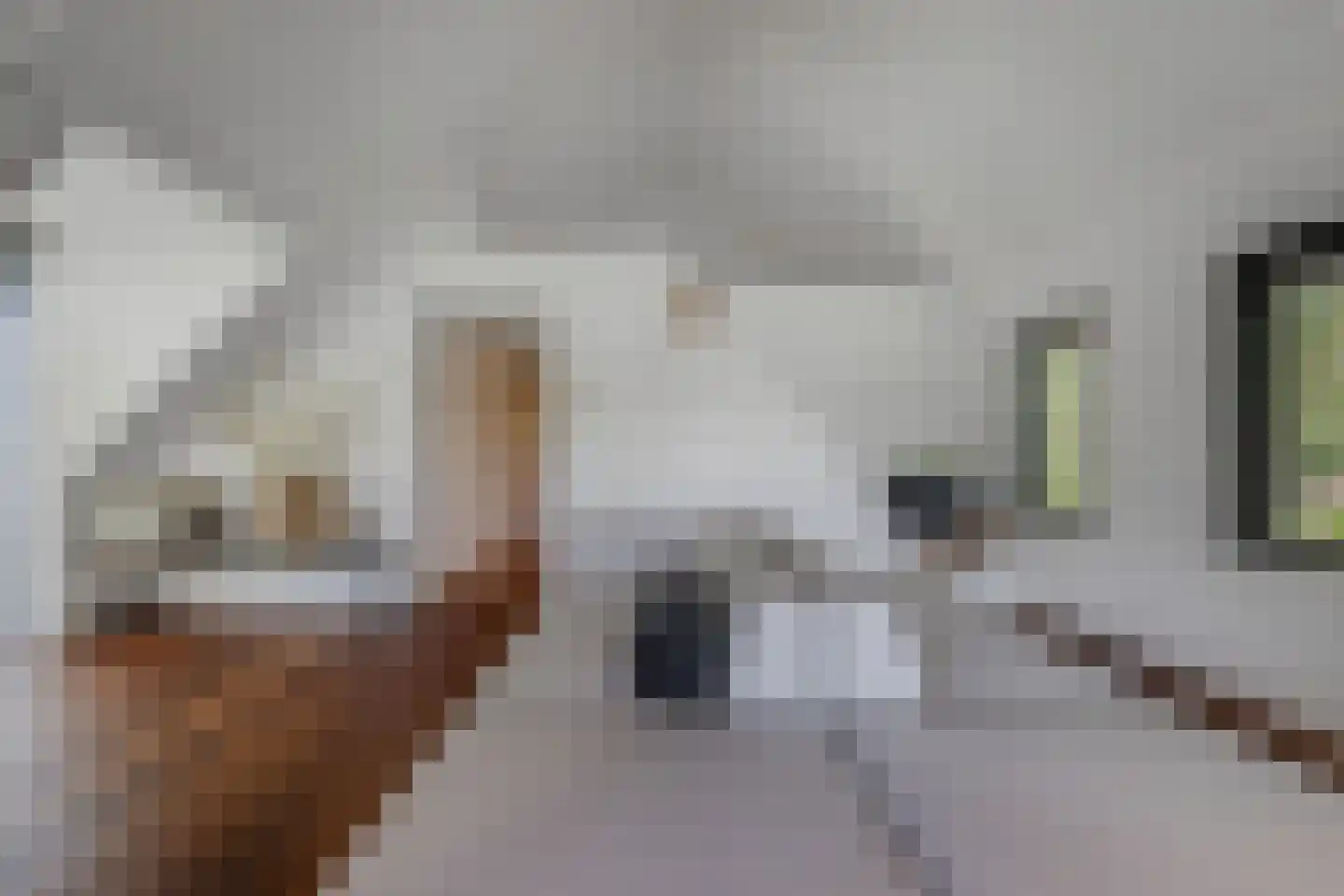 Löhnislaan 10 De Pol thumbnail 8
