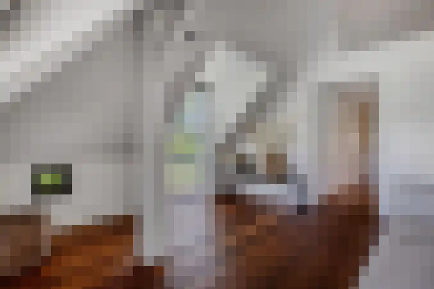 Löhnislaan 10 De Pol thumbnail 9
