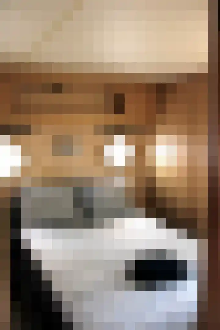Löhnislaan 2 De Pol thumbnail 19