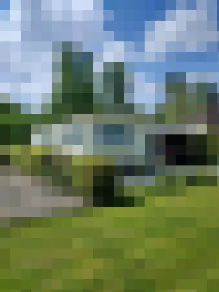 Löhnislaan 2 De Pol foto 2