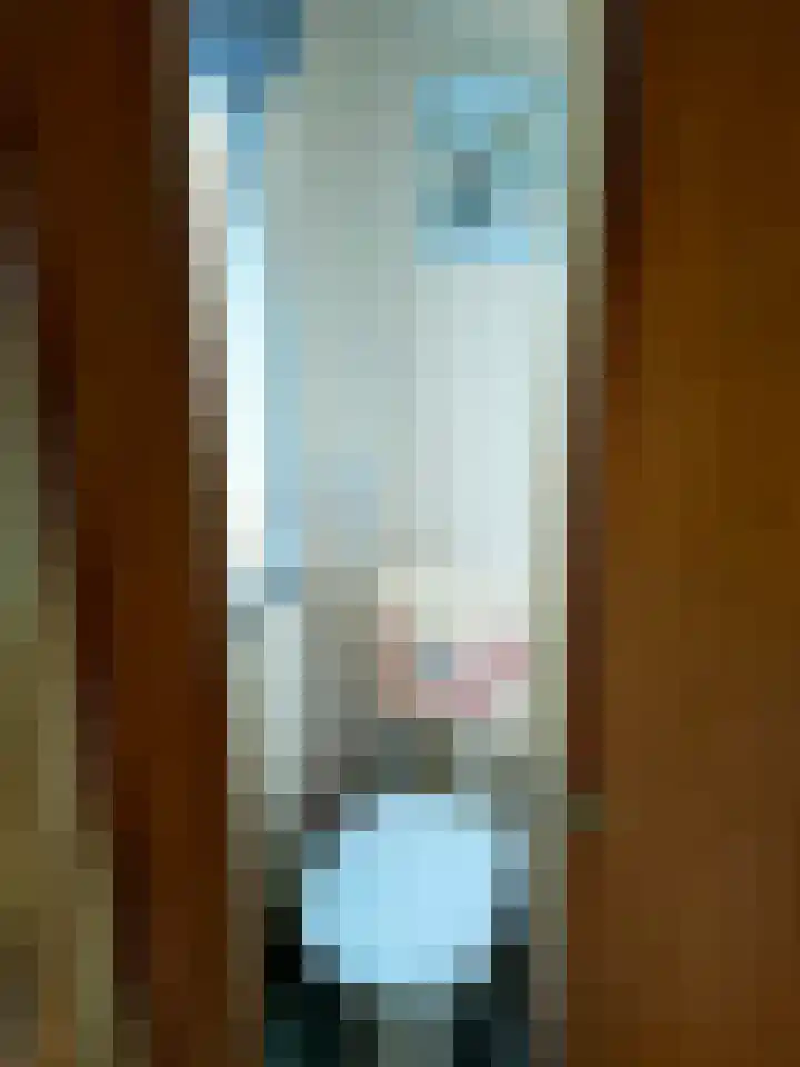 Löhnislaan 2 De Pol thumbnail 26