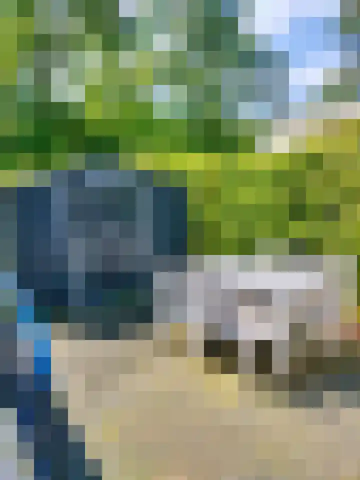 Löhnislaan 2 De Pol thumbnail 4