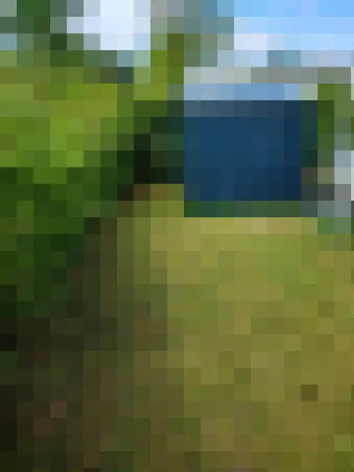 Löhnislaan 2 De Pol thumbnail 5