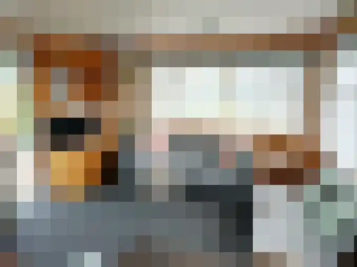 Löhnislaan 2 De Pol thumbnail 6