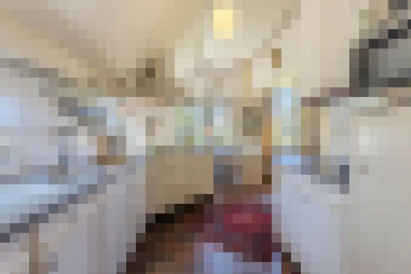 Löhnislaan 4 De Pol thumbnail 17