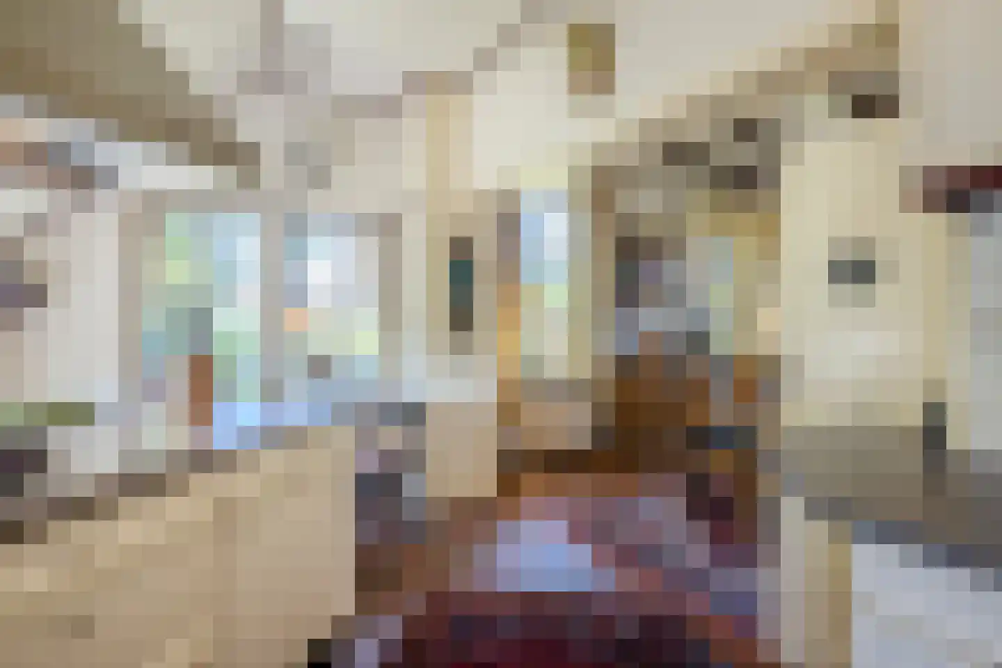 Löhnislaan 4 De Pol thumbnail 18