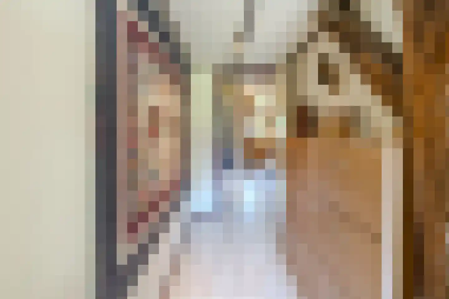 Löhnislaan 4 De Pol thumbnail 22