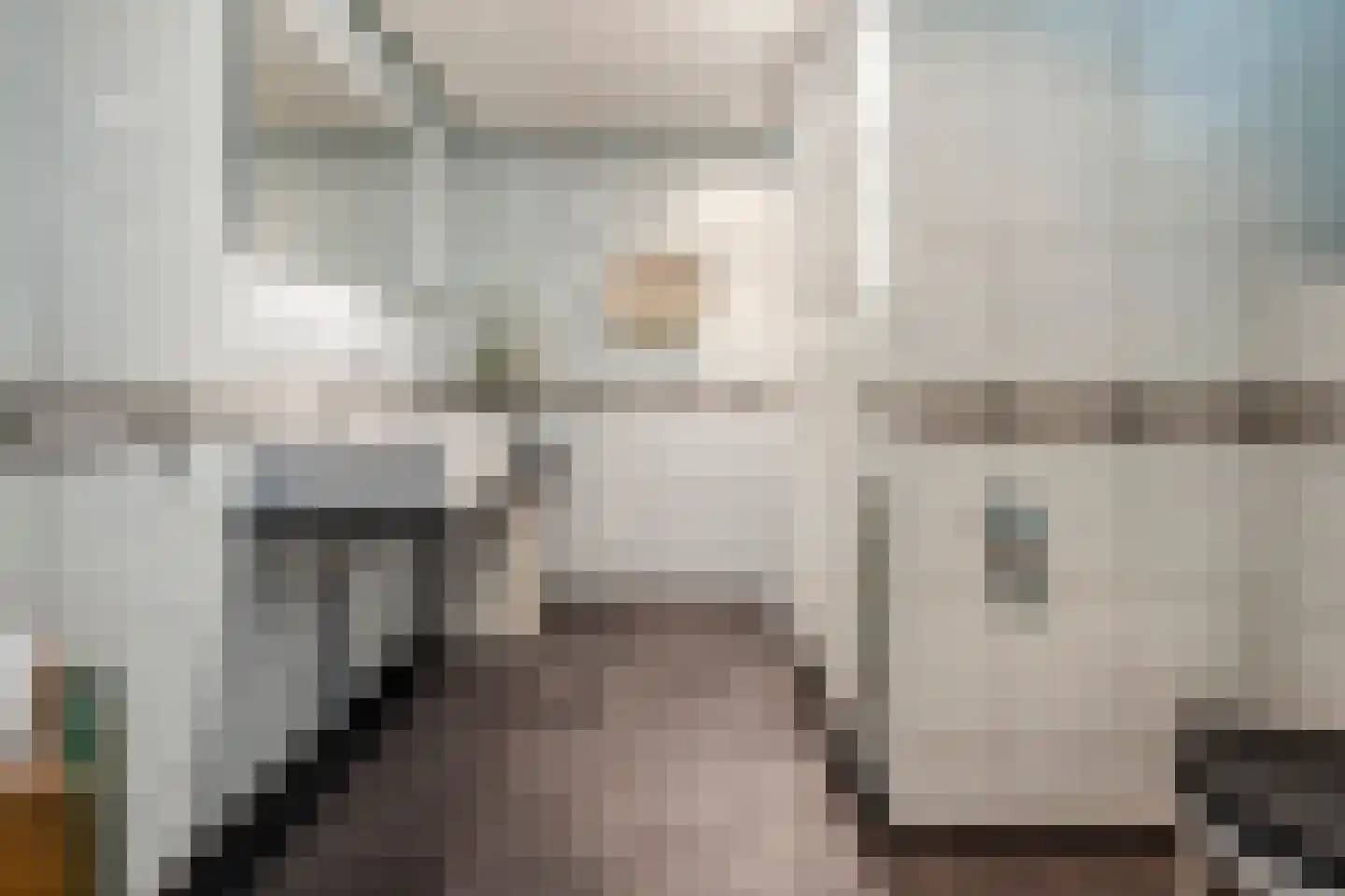 Löhnislaan 4 De Pol thumbnail 26