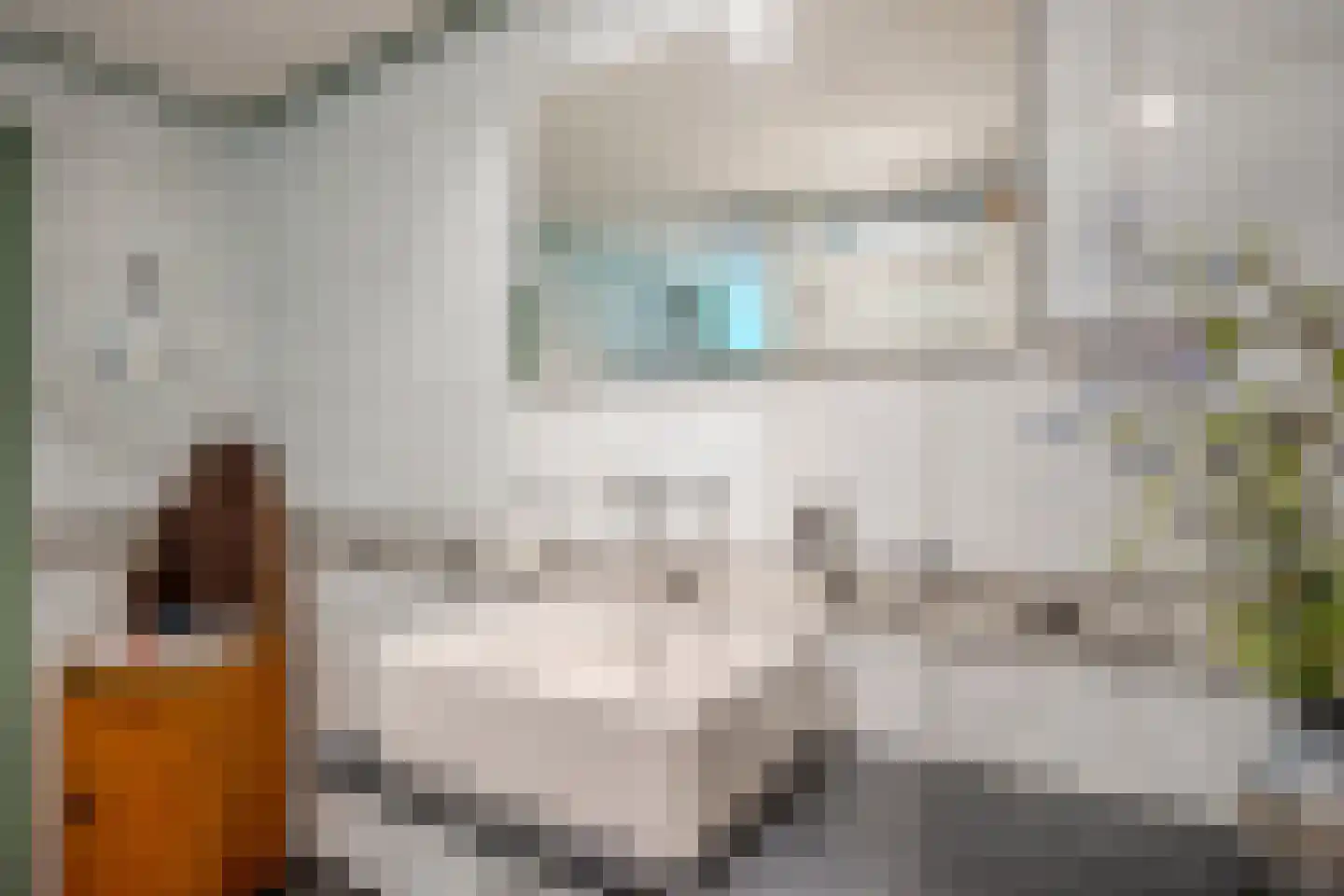 Löhnislaan 4 De Pol thumbnail 27