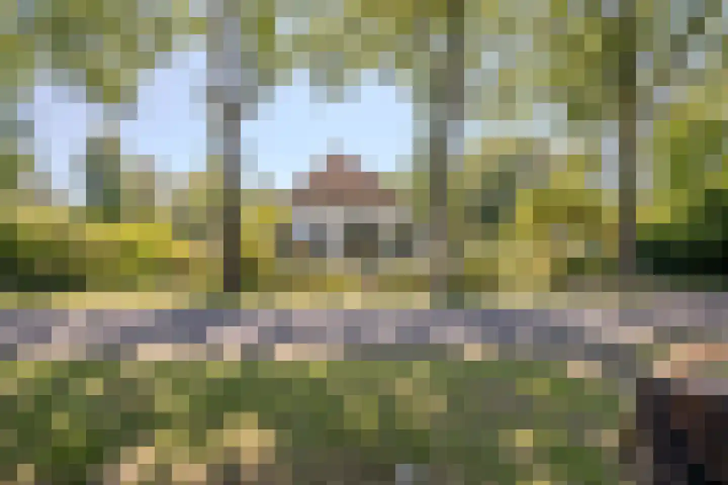 Löhnislaan 4 De Pol foto 3