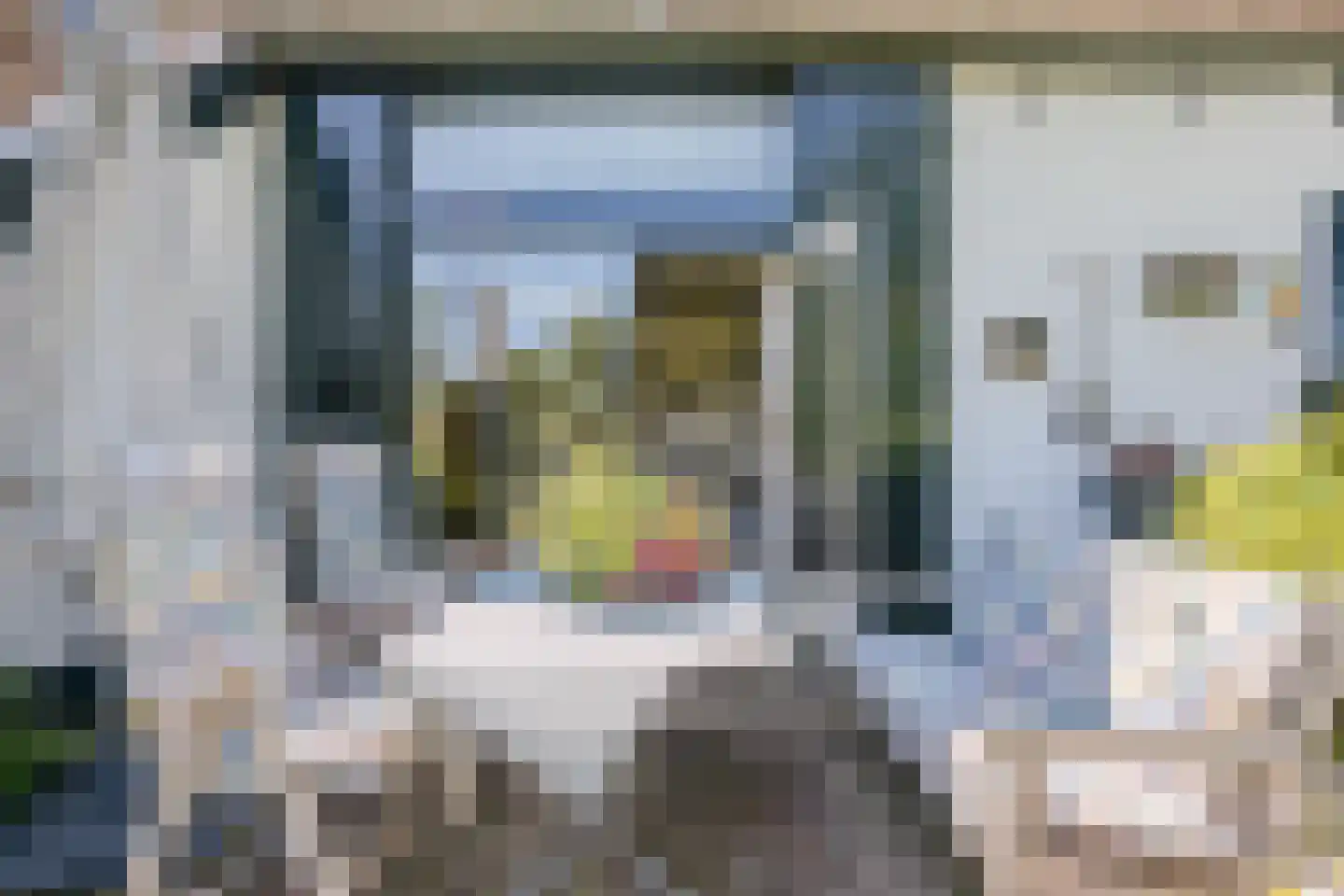 Löhnislaan 4 De Pol thumbnail 31