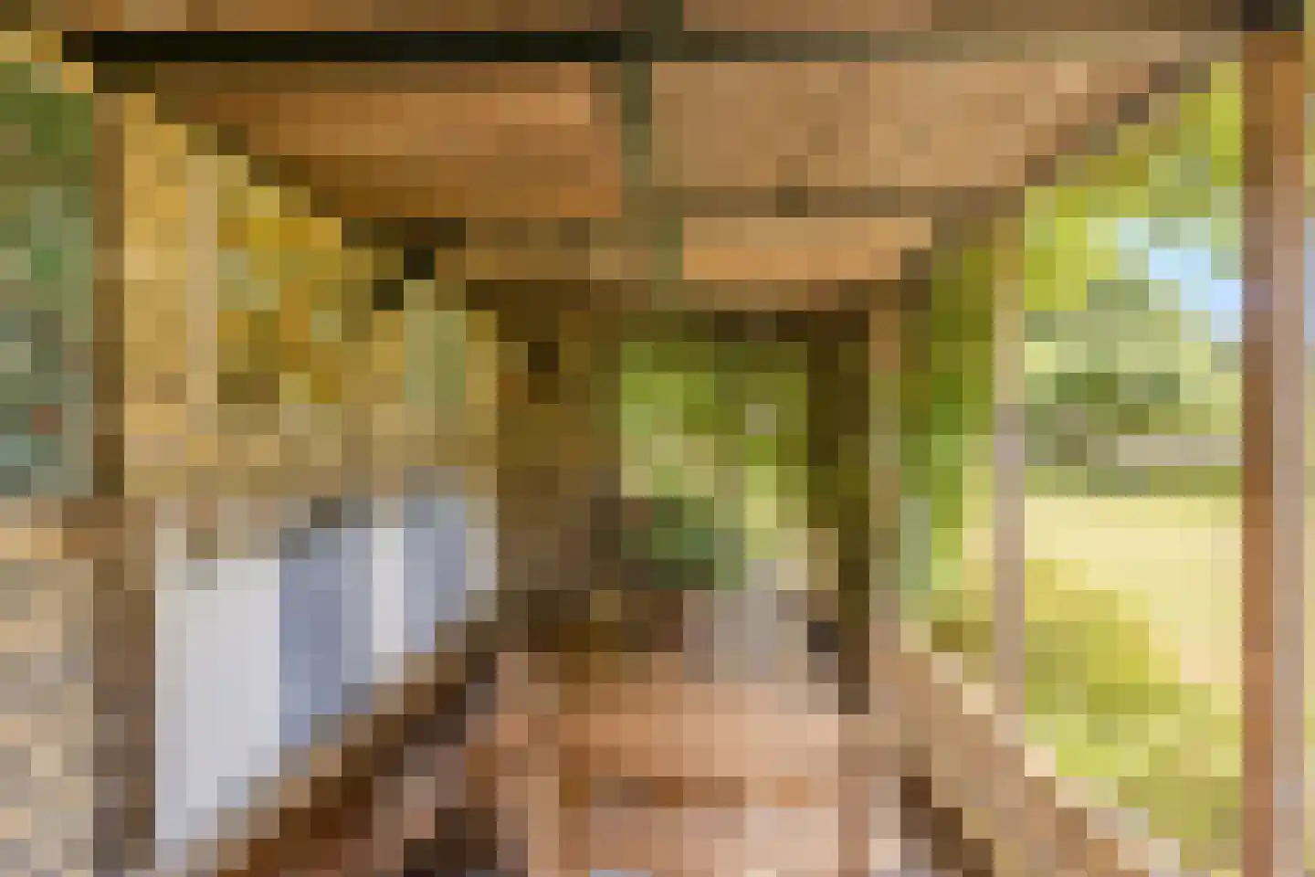 Löhnislaan 4 De Pol thumbnail 35