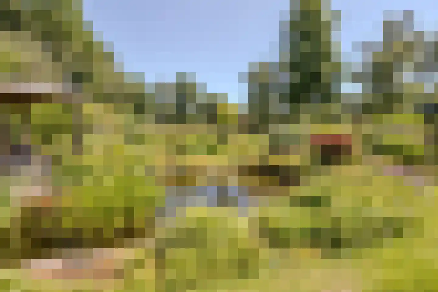 Löhnislaan 4 De Pol thumbnail 36