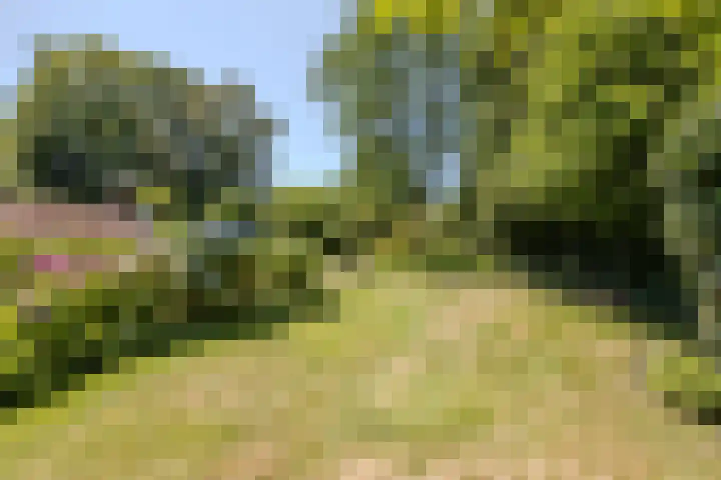 Löhnislaan 4 De Pol thumbnail 39