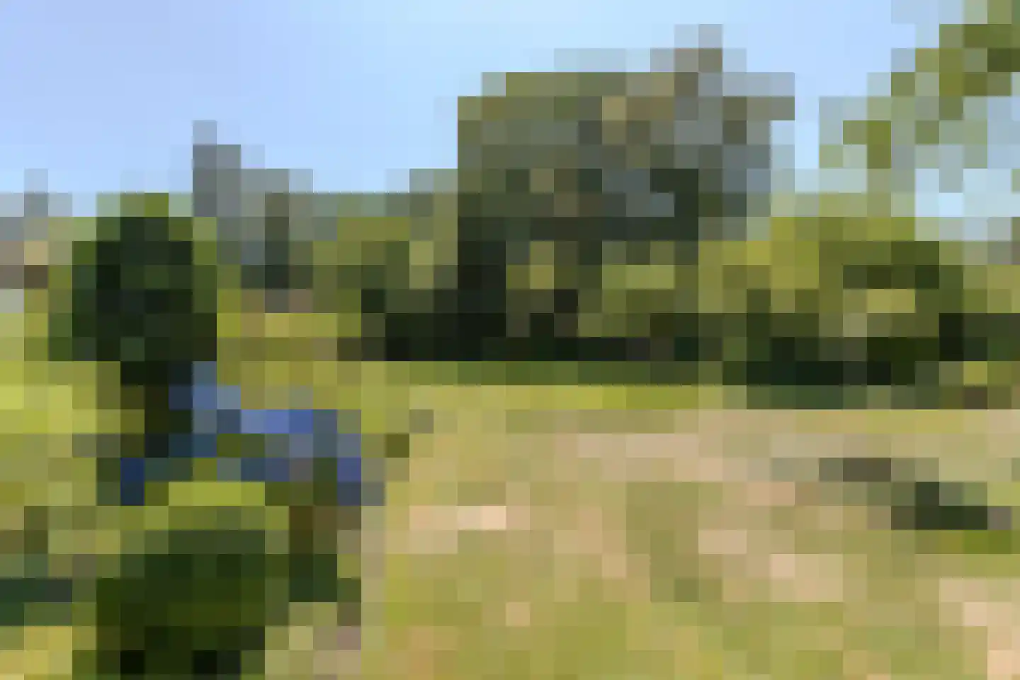 Löhnislaan 4 De Pol thumbnail 40