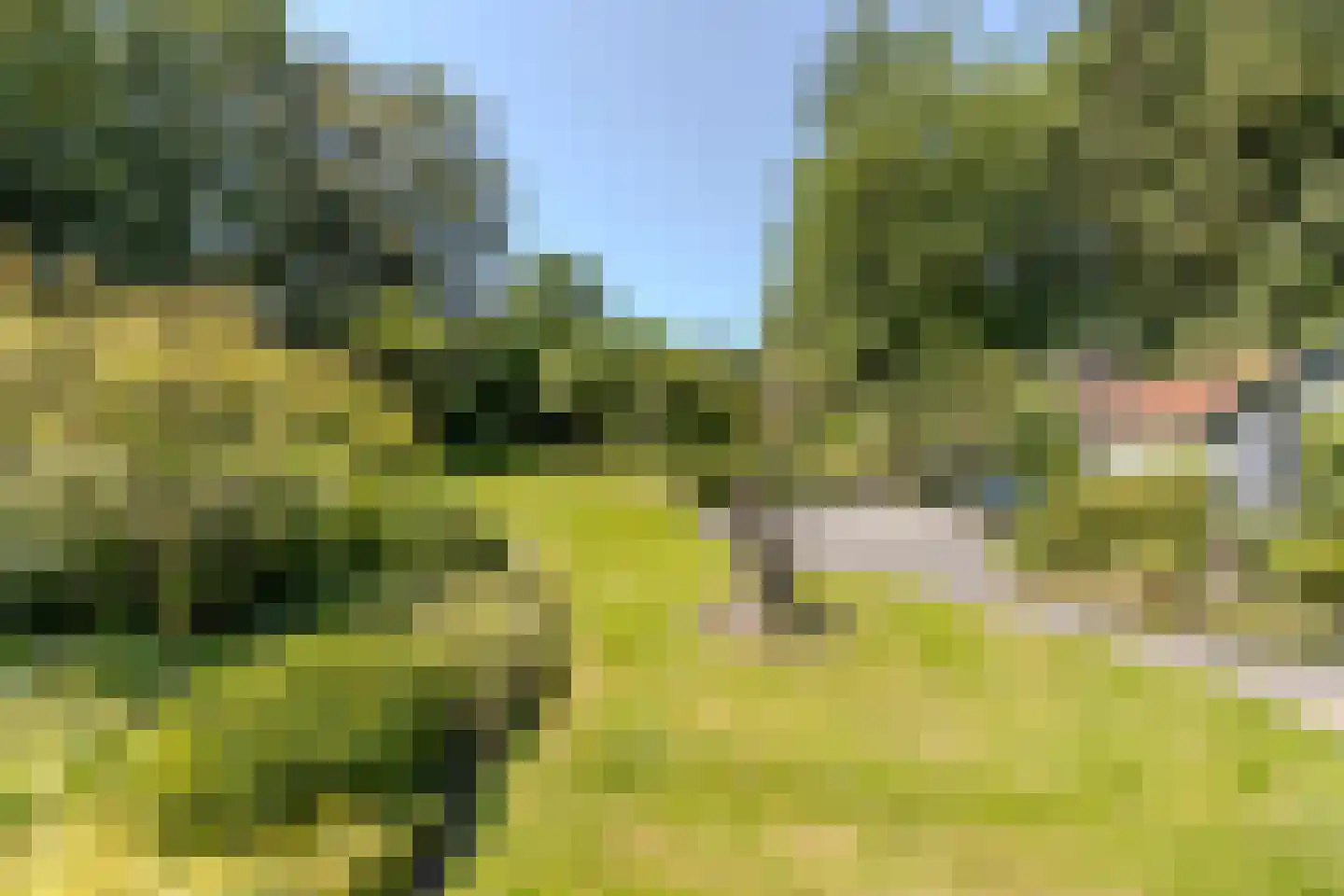 Löhnislaan 4 De Pol thumbnail 41