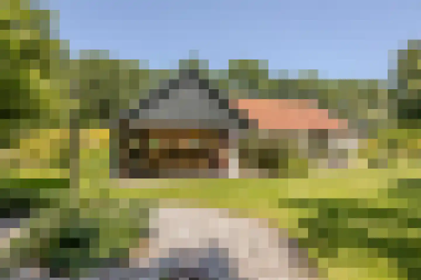 Löhnislaan 4 De Pol thumbnail 45