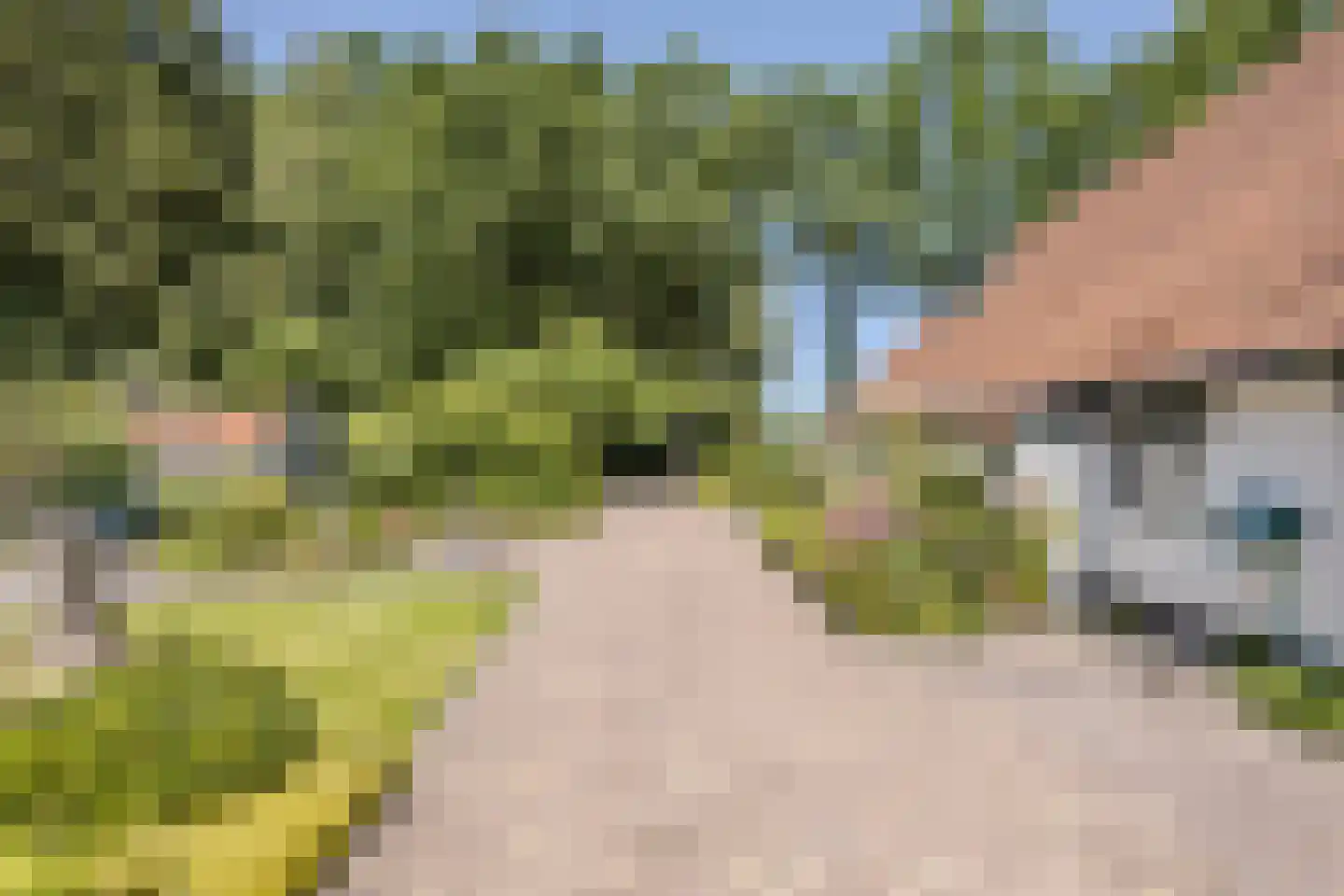 Löhnislaan 4 De Pol thumbnail 5