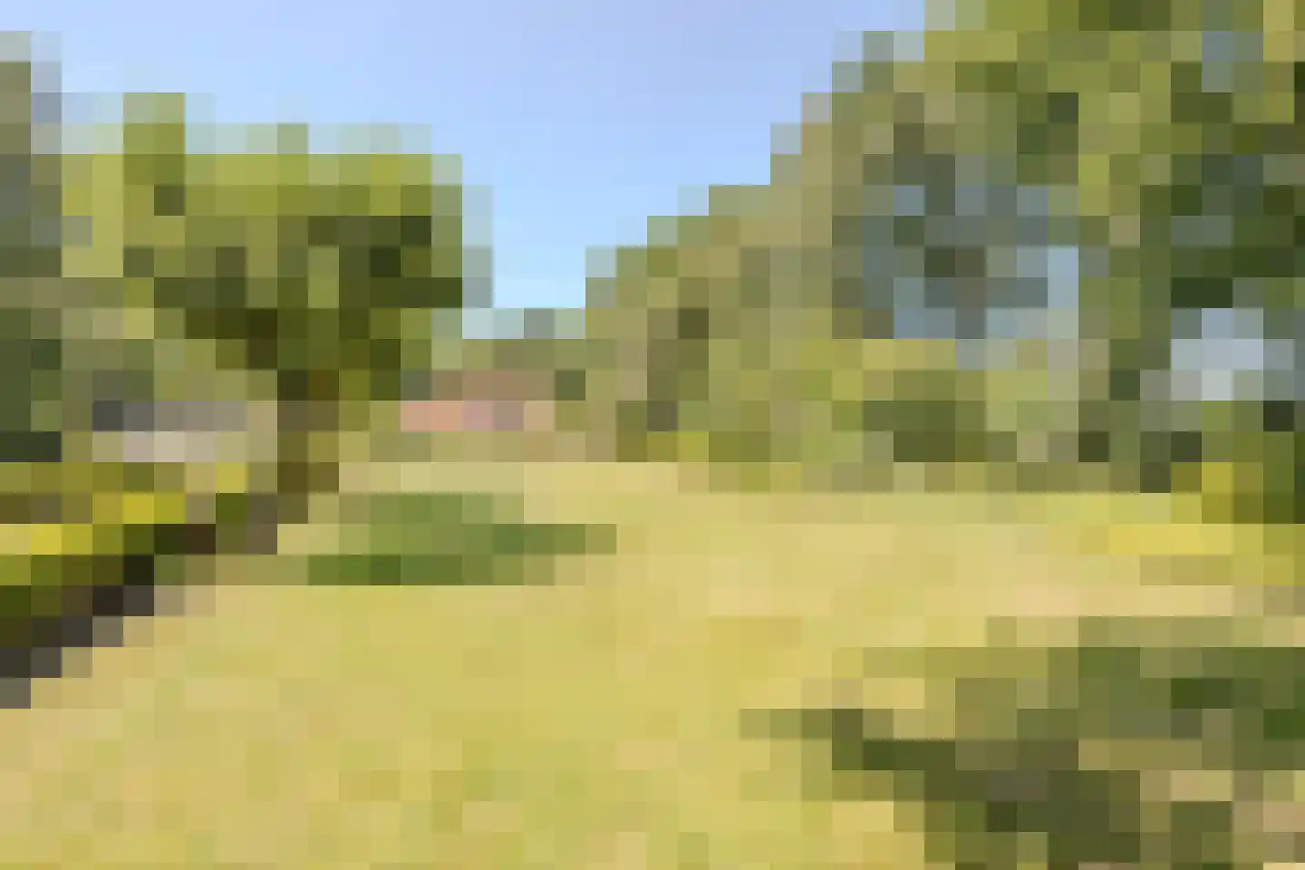 Löhnislaan 4 De Pol thumbnail 50