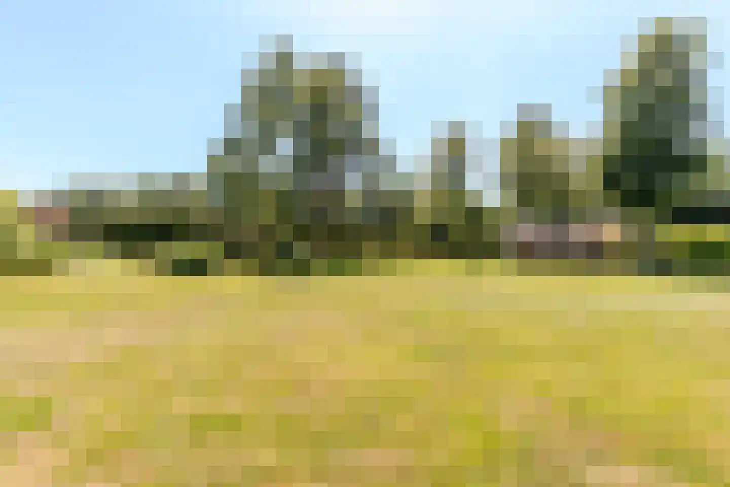 Löhnislaan 4 De Pol thumbnail 51