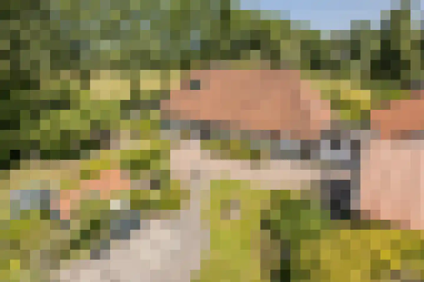 Löhnislaan 4 De Pol thumbnail 6
