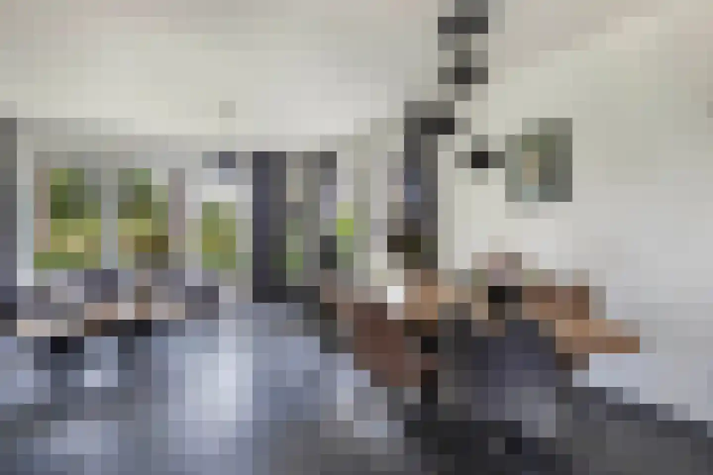 Löhnislaan 6 De Pol thumbnail 11