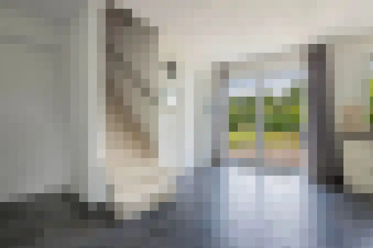 Löhnislaan 6 De Pol thumbnail 15