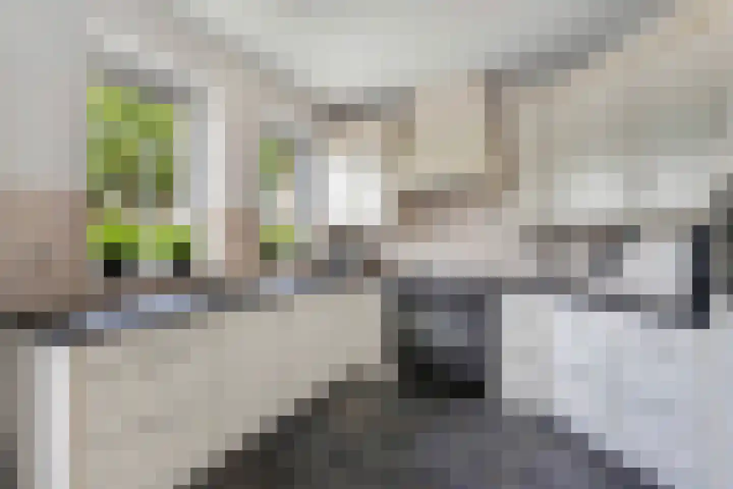 Löhnislaan 6 De Pol thumbnail 18