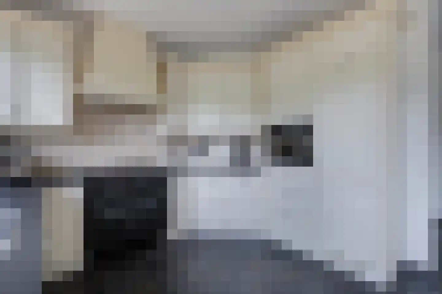 Löhnislaan 6 De Pol thumbnail 19