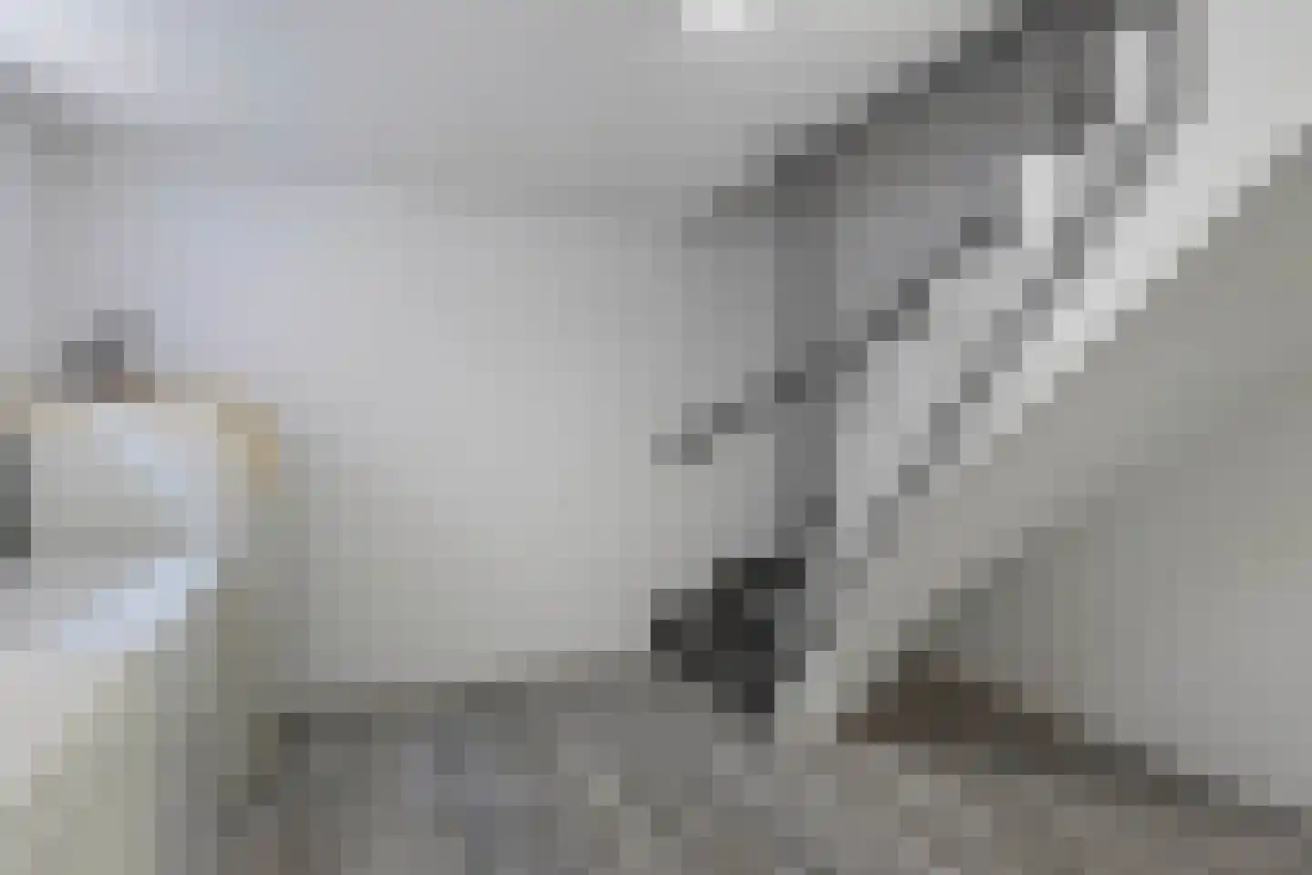 Löhnislaan 6 De Pol thumbnail 22