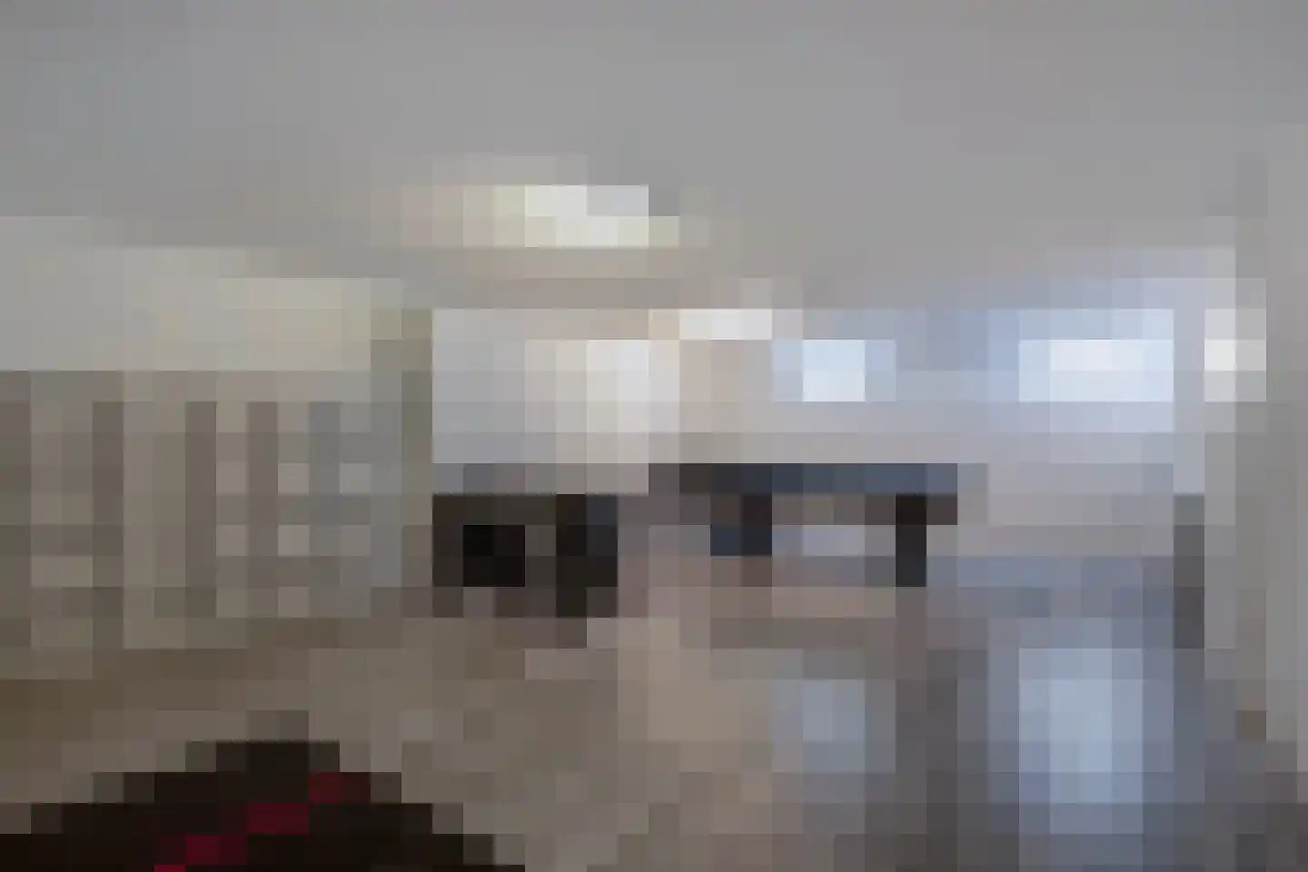 Löhnislaan 6 De Pol thumbnail 24