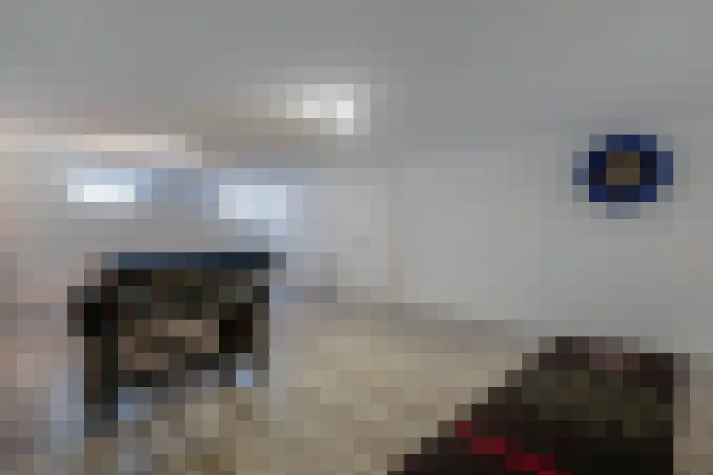 Löhnislaan 6 De Pol thumbnail 25
