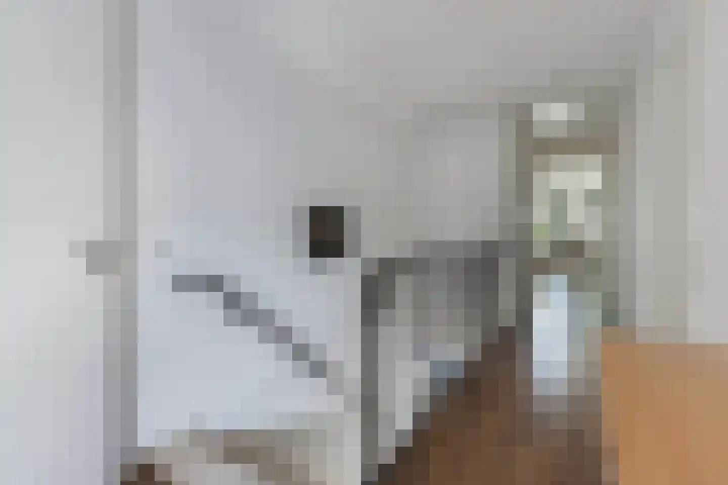Löhnislaan 6 De Pol thumbnail 37