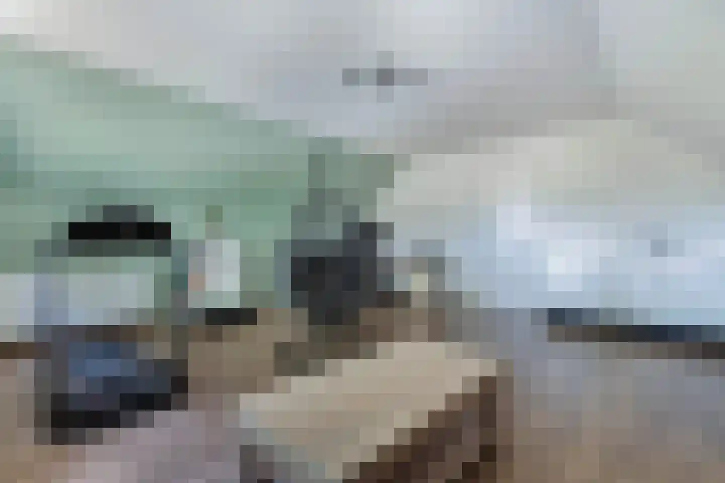 Löhnislaan 6 De Pol thumbnail 40
