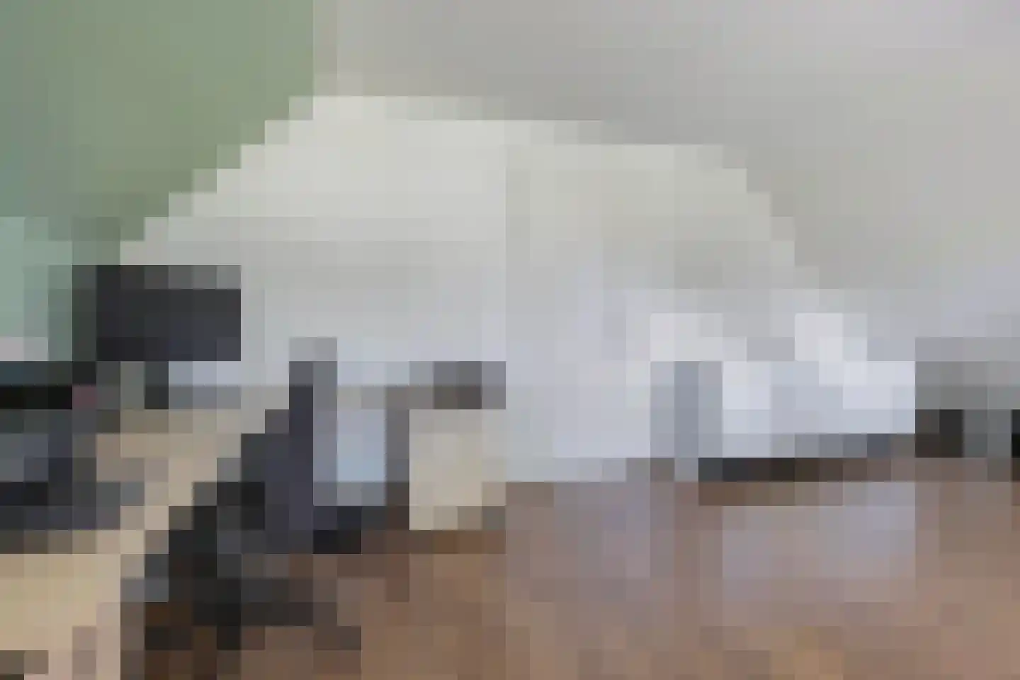 Löhnislaan 6 De Pol thumbnail 41