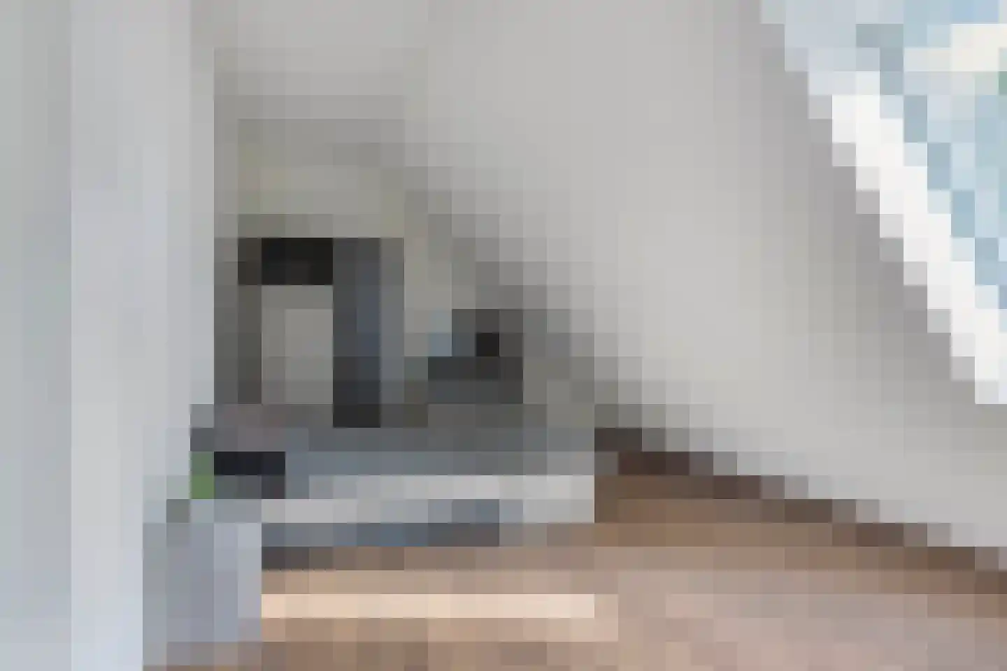 Löhnislaan 6 De Pol thumbnail 47