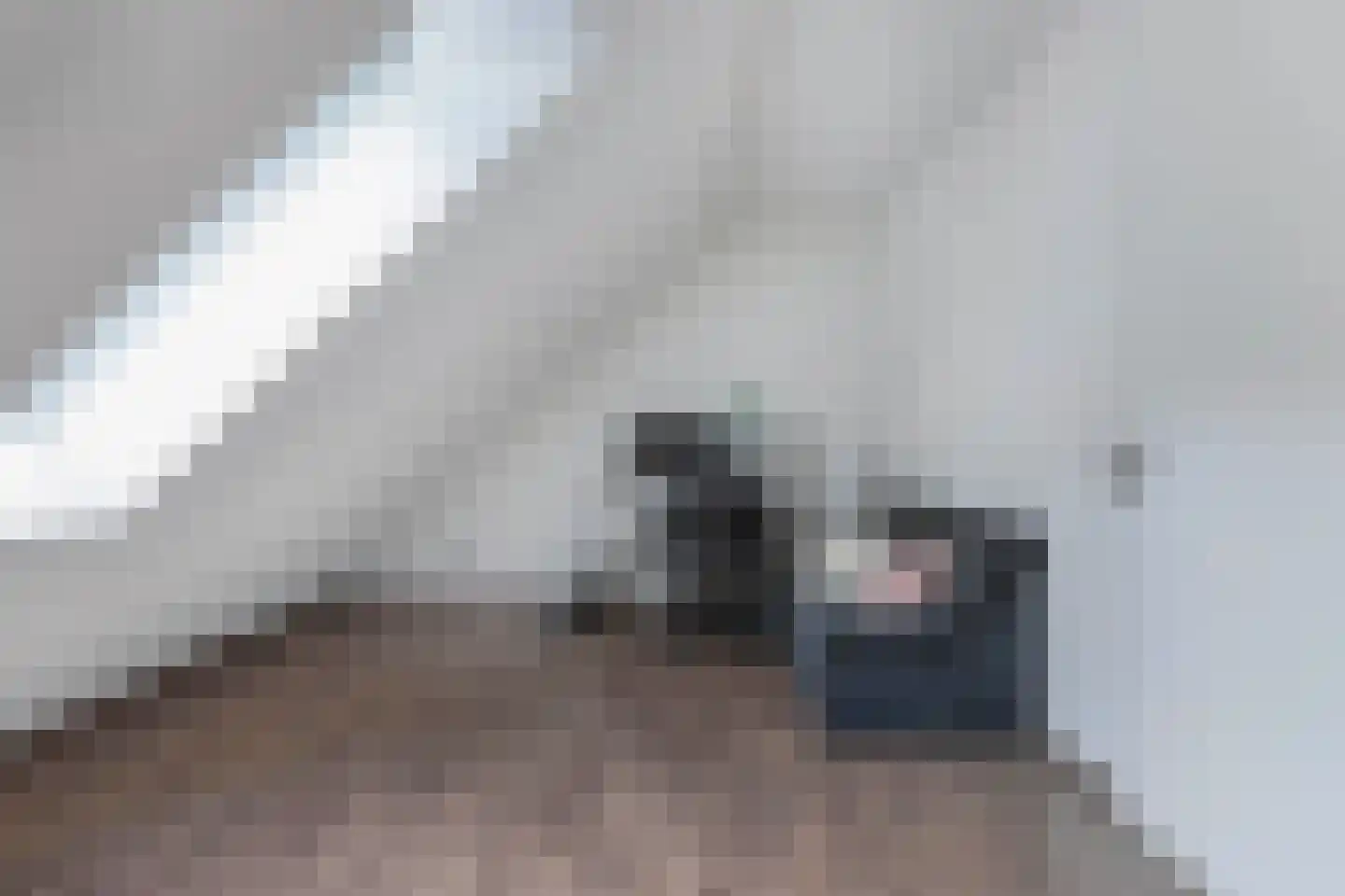 Löhnislaan 6 De Pol thumbnail 48