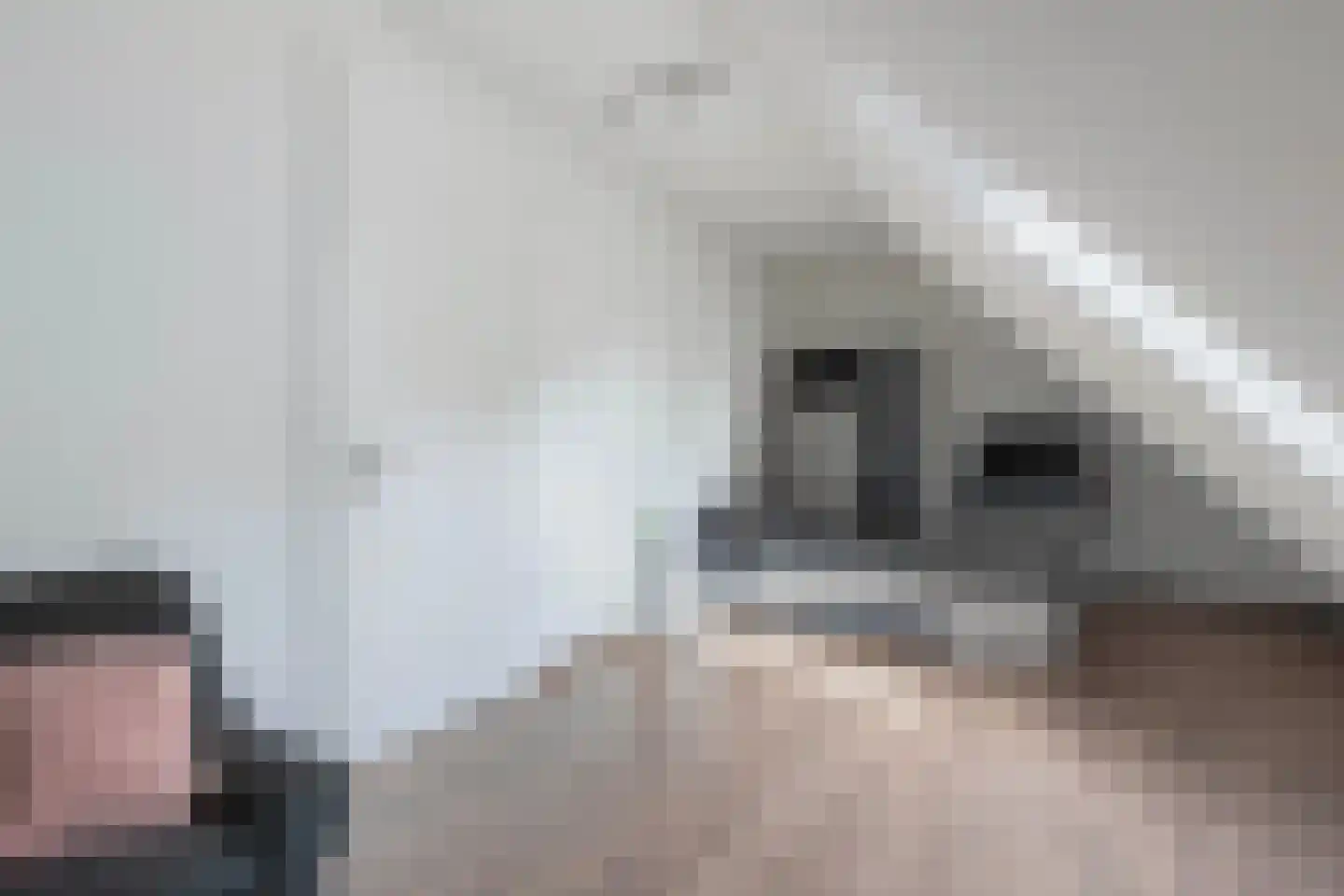 Löhnislaan 6 De Pol thumbnail 49