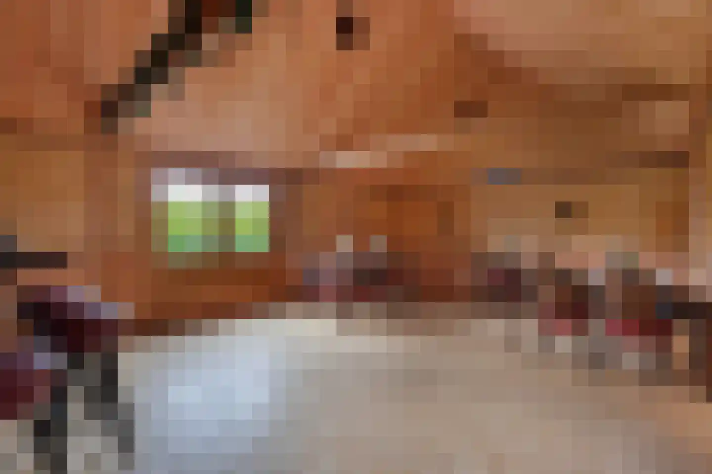 Löhnislaan 6 De Pol thumbnail 55