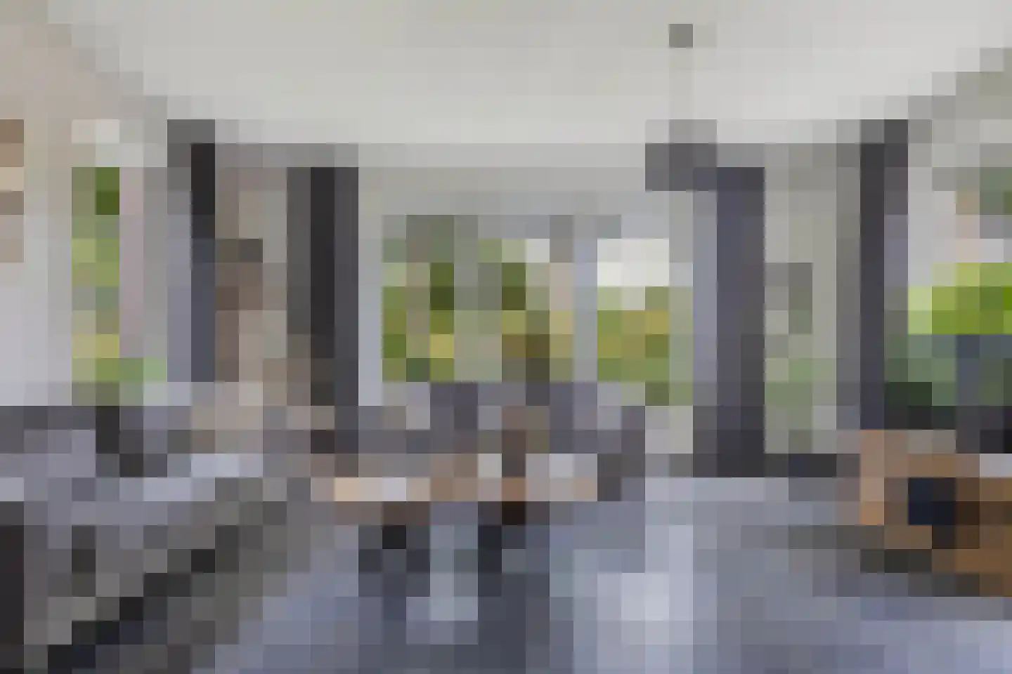Löhnislaan 6 De Pol thumbnail 6