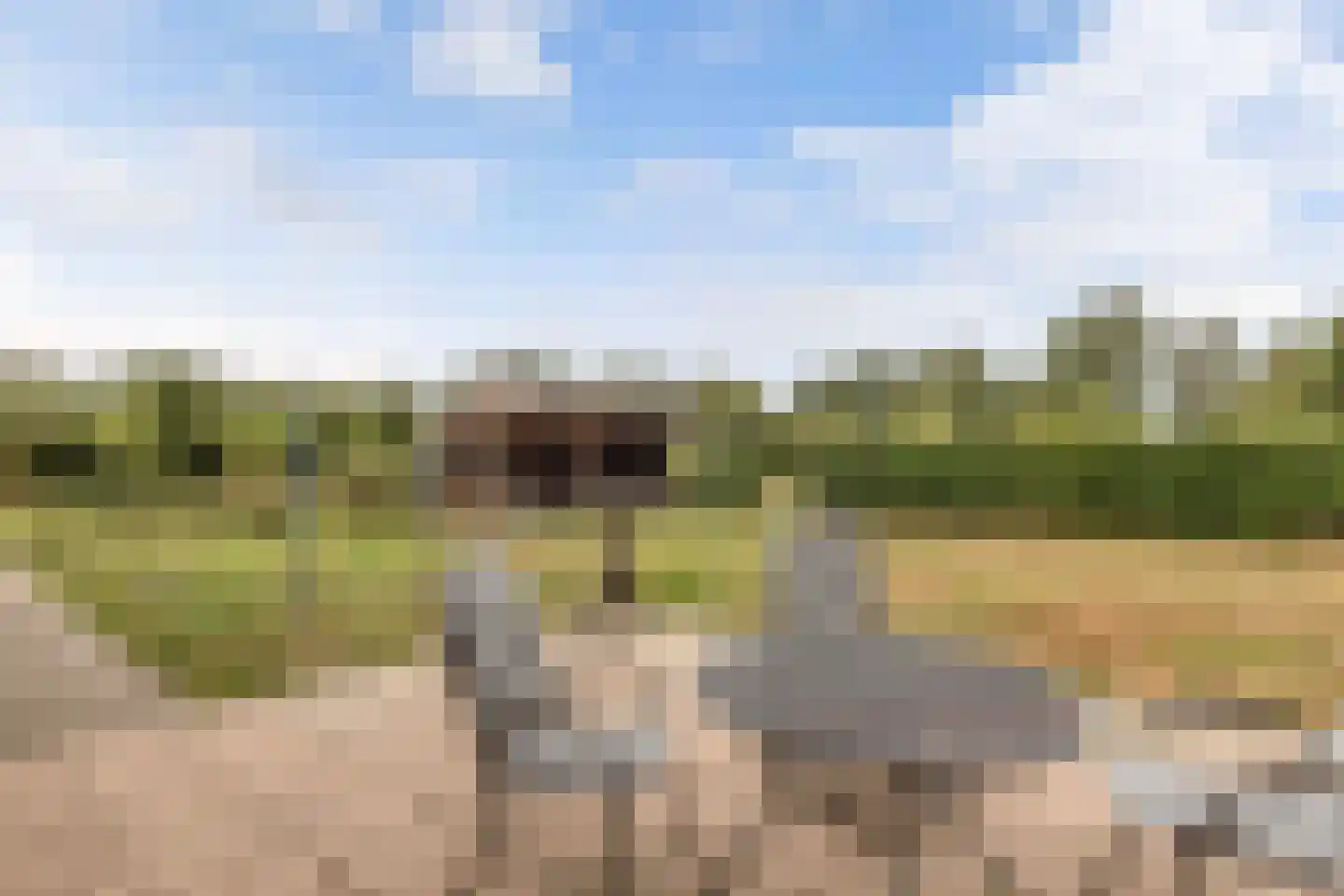 Löhnislaan 6 De Pol thumbnail 60